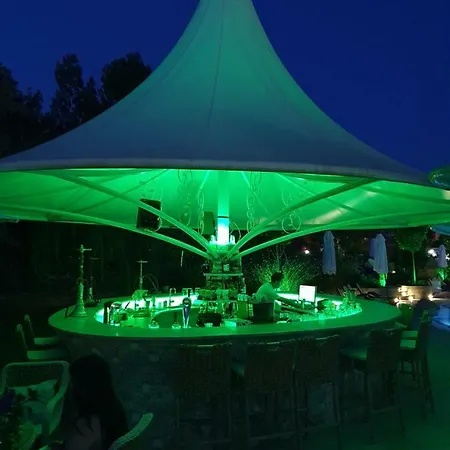 Deal, Harmony Suites 12 * Slăntjev Brjag